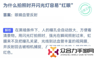 蚂蚁庄园10月19日答案最新,蚂蚁庄园今日答案拍照时开闪光灯,蚂蚁庄园今日答案最新10.19
